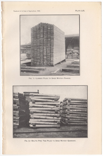 lumber piled to shed water